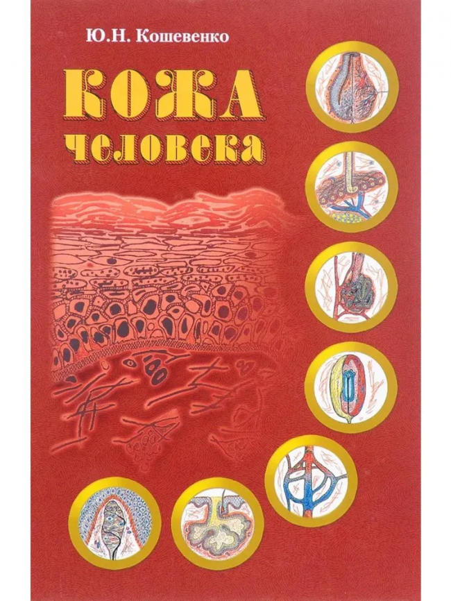 Книга Кошевенко Ю.Н. "Кожа человека" фото 1